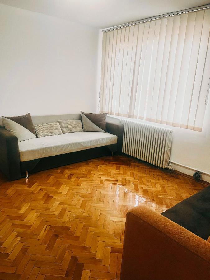 Ultracentral Big Apartment - Near The Opera Square P17 Timisoara Exterior photo